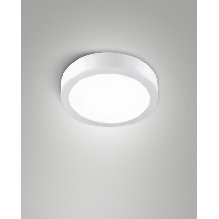 Fabas Luce Plafoniera  Outdoor Nicole CCT 6576-65-254